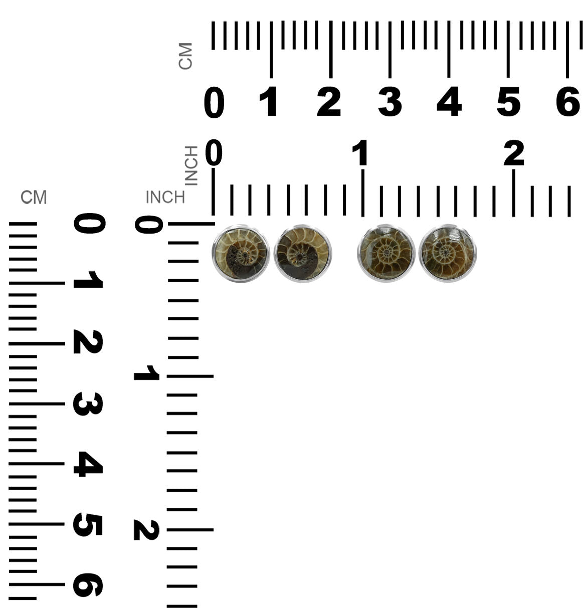 Starborn Fossilized Ammonite 8mm Round Post Style Earrings in Sterling Silver