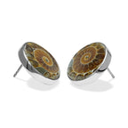 Starborn Fossilized Ammonite Round Post Earrings in Sterling Silver