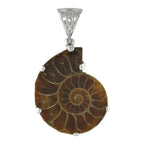 Starborn Fossil Ammonite Prong Set Pendant with Filigree Bale in Sterling Silver