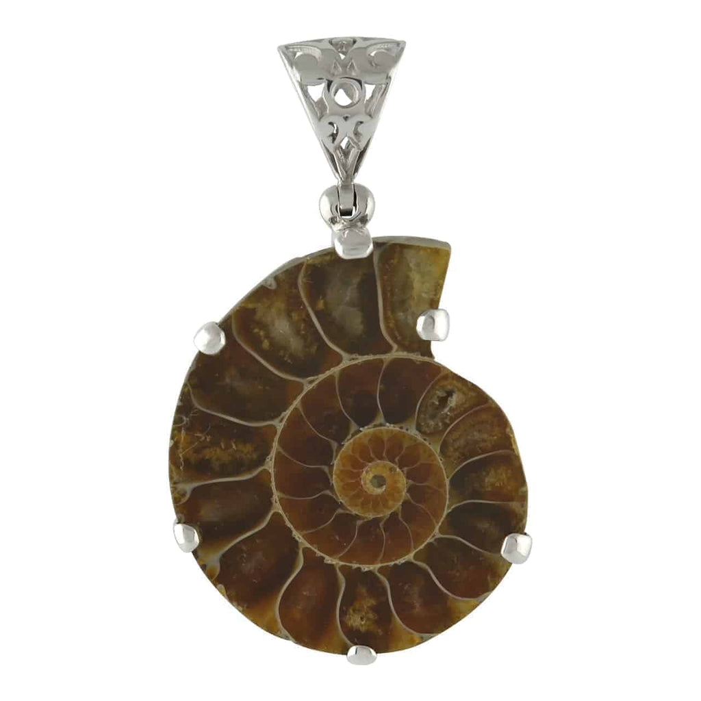 Starborn Fossil Ammonite Prong Set Pendant with Filigree Bale in Sterling Silver