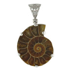 Starborn Fossil Ammonite Prong Set Pendant with Filigree Bale in Sterling Silver