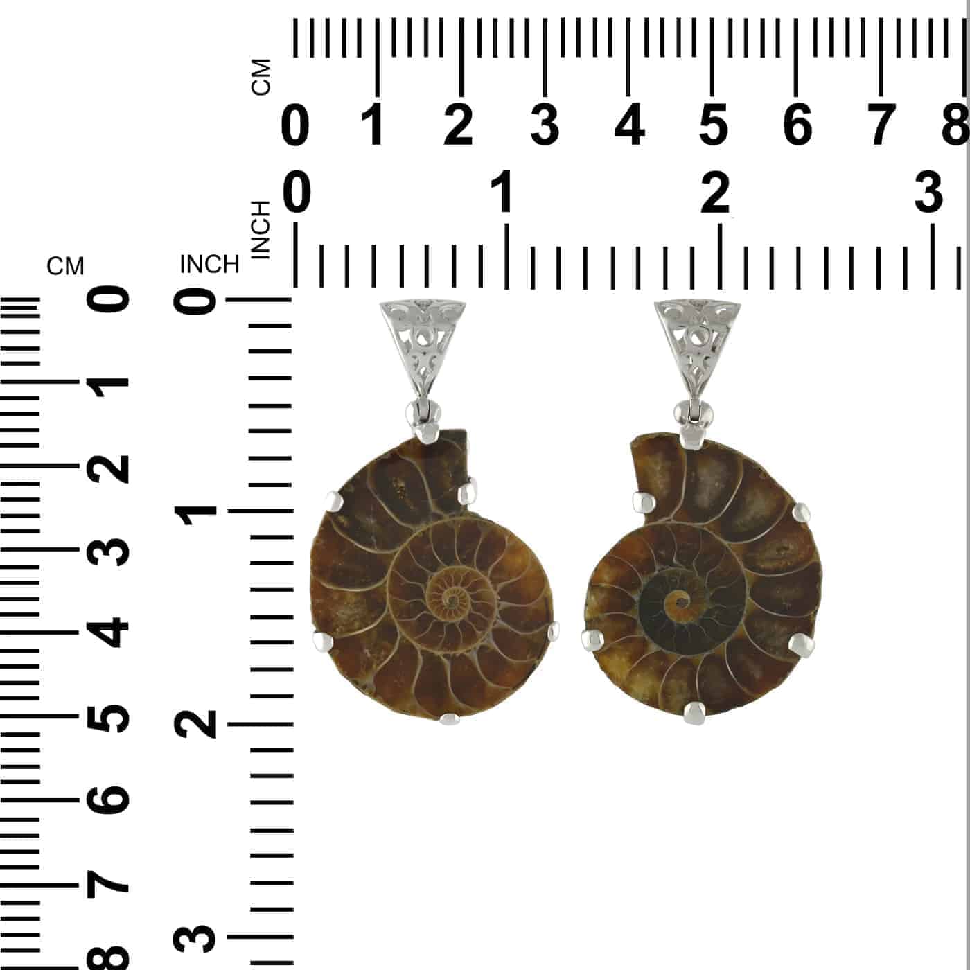 Starborn Fossil Ammonite Prong Set Pendant with Filigree Bale in Sterling Silver