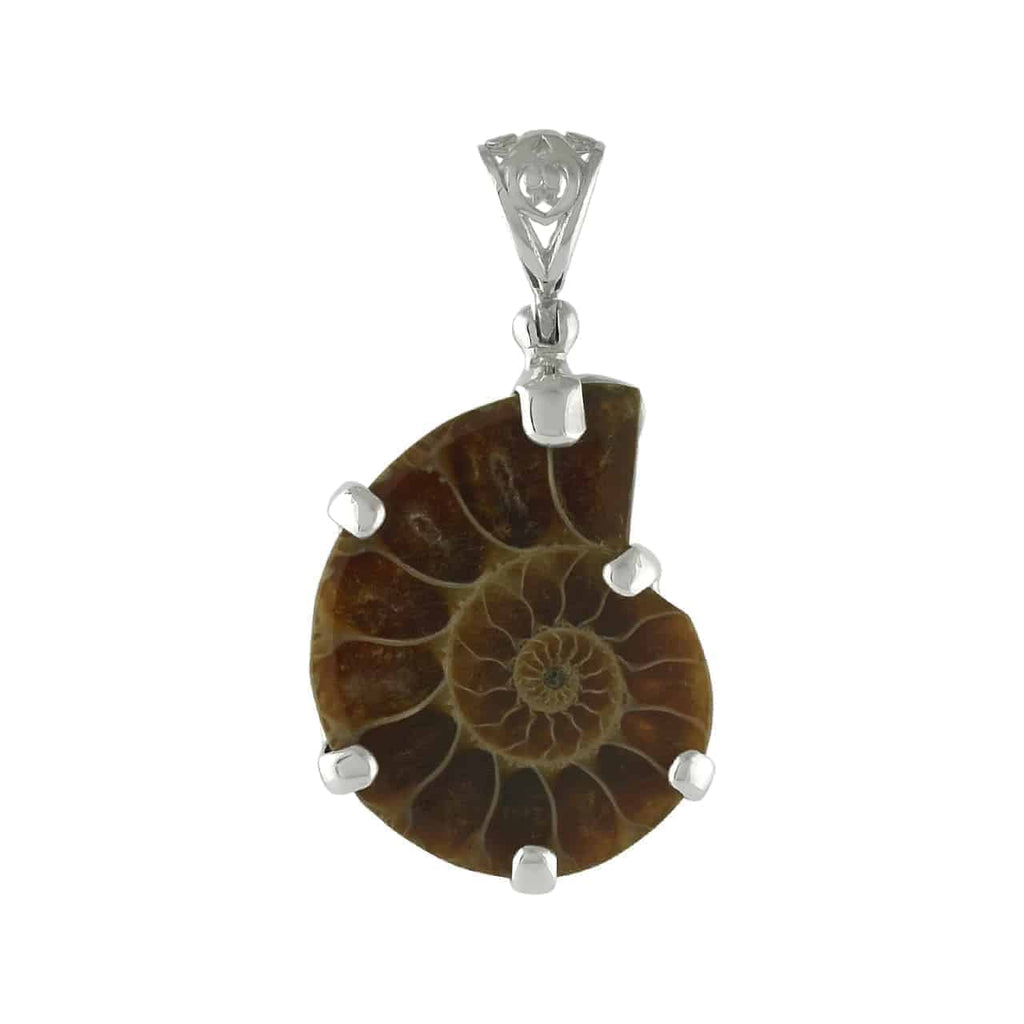 Starborn Fossil Ammonite Prong Set Pendant with Filigree Bale in Sterling Silver
