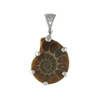 Starborn Fossil Ammonite Prong Set Pendant with Filigree Bale in Sterling Silver