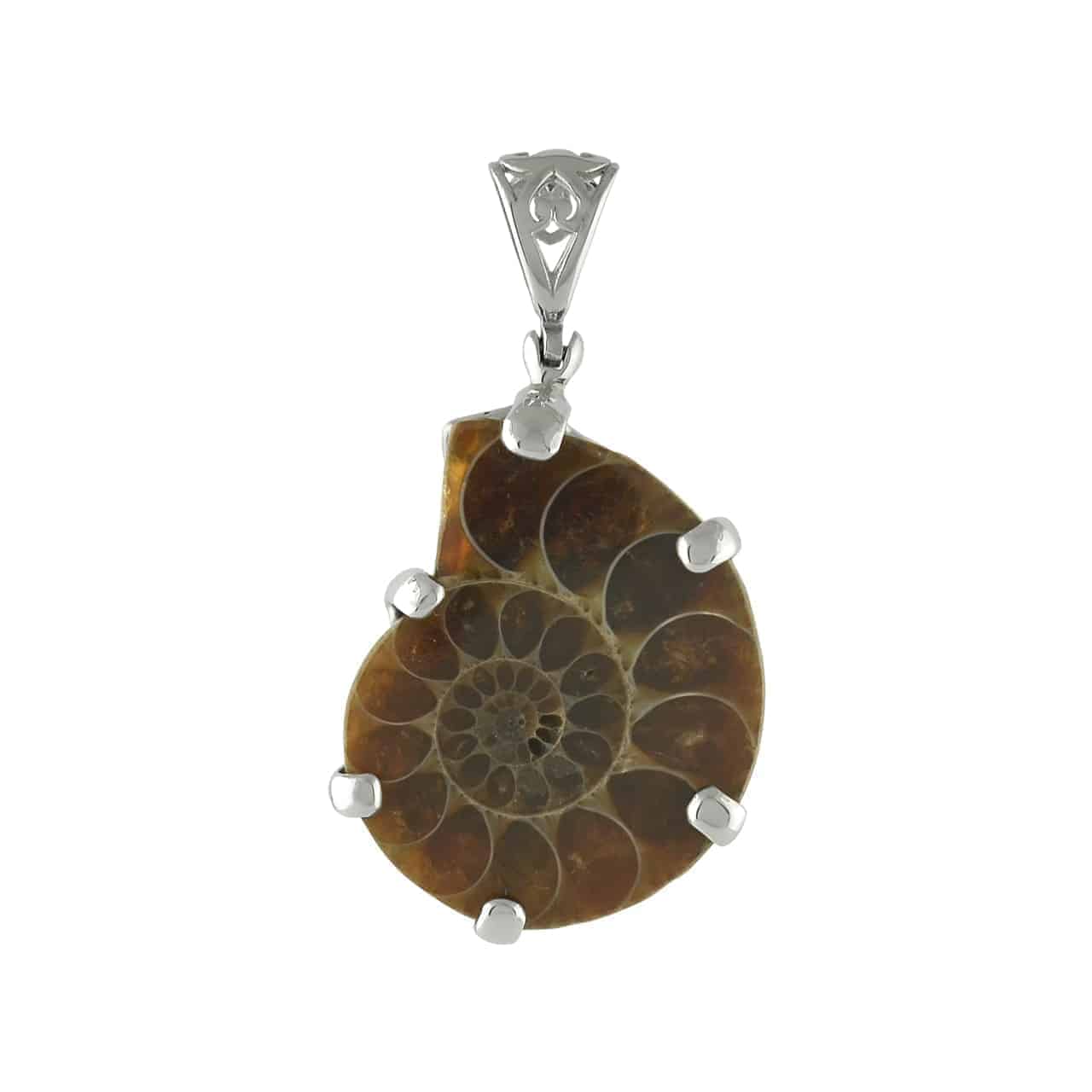Starborn Fossil Ammonite Prong Set Pendant with Filigree Bale in Sterling Silver