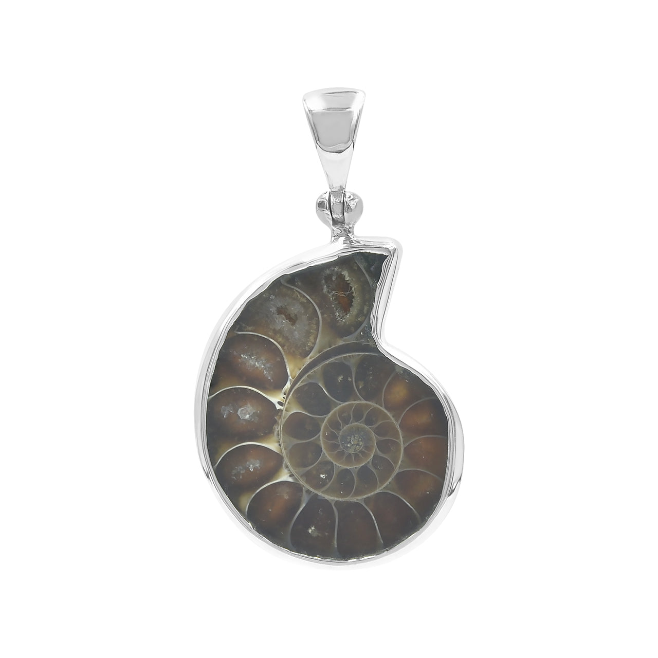Starborn Fossilized Ammonite Bezel Set Pendant in Sterling Silver