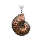 Starborn Fossilized Red Iridescent Ammonite Pendant in Sterling Silver