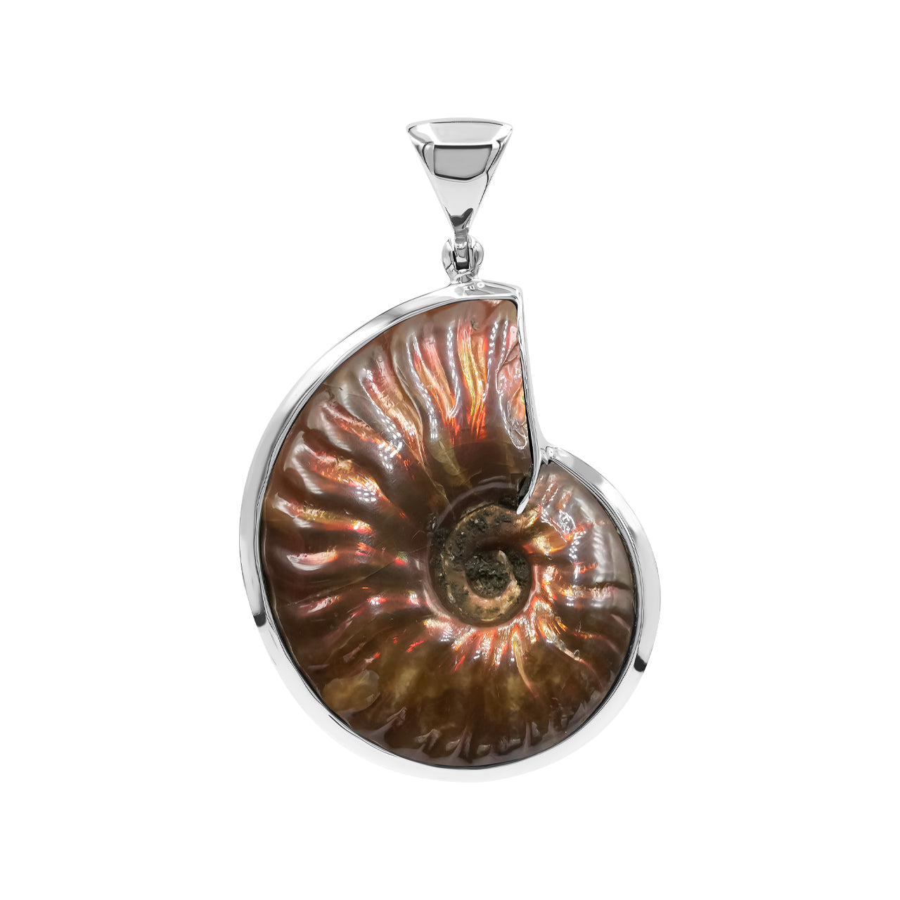 Starborn Fossilized Red Iridescent Ammonite Pendant in Sterling Silver