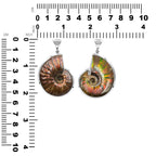 Starborn Fossilized Red Iridescent Ammonite Pendant in Sterling Silver