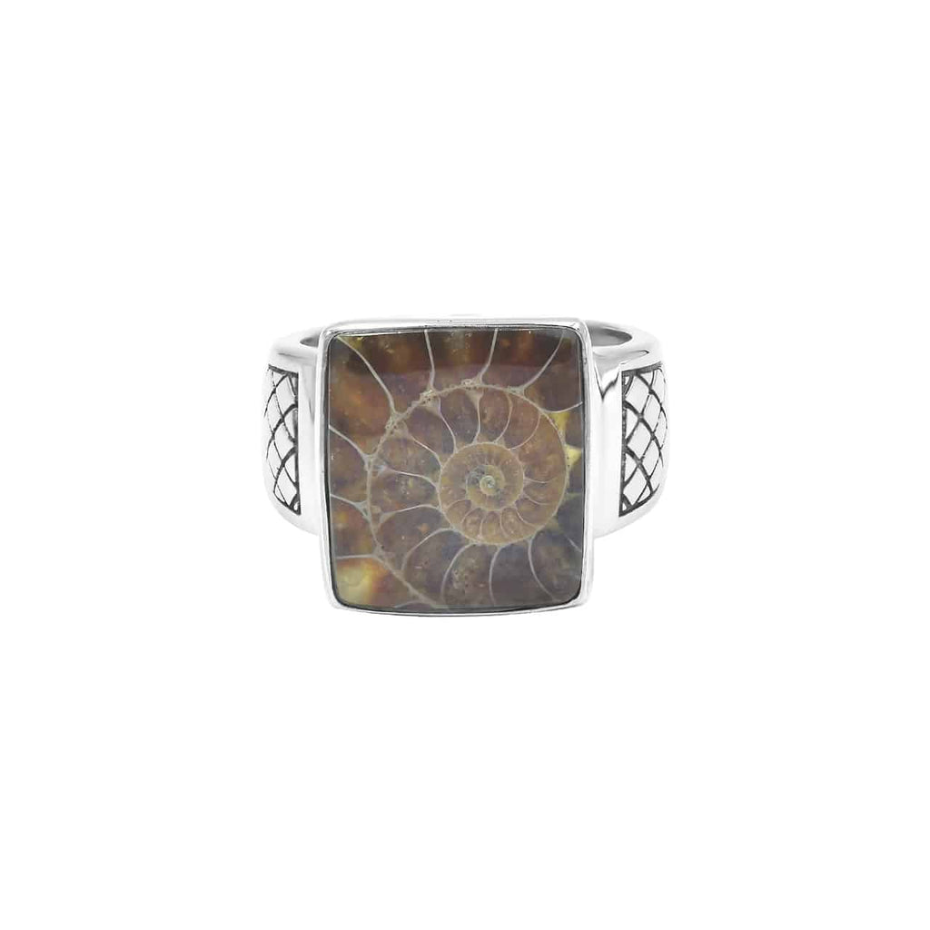 Starborn Ammonite Men’s Ring with Geometric Shank Accents in Sterling Silver