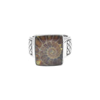 Starborn Ammonite Men’s Ring with Geometric Shank Accents in Sterling Silver