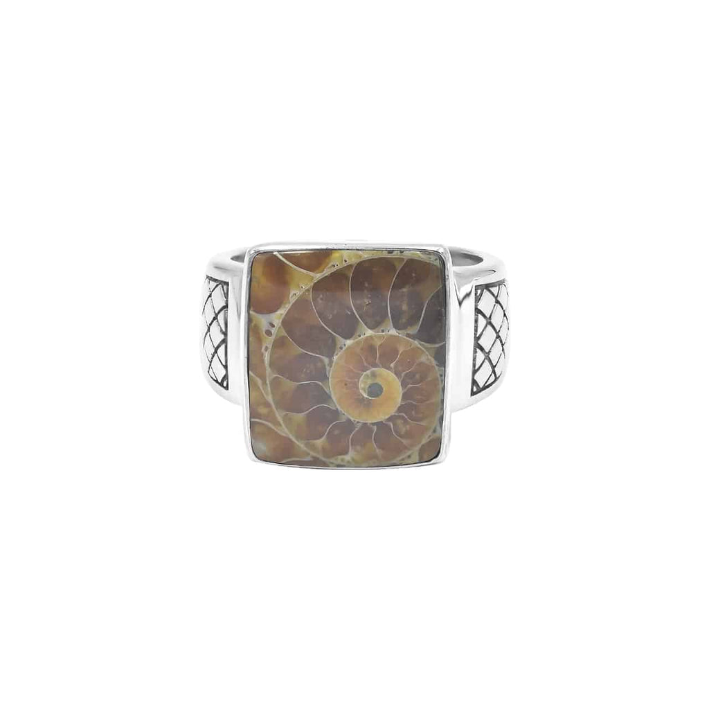 Starborn Ammonite Men’s Ring with Geometric Shank Accents in Sterling Silver