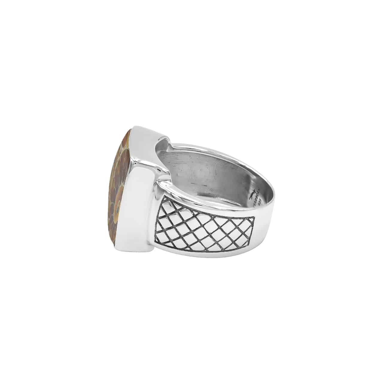 Starborn Ammonite Men’s Ring with Geometric Shank Accents in Sterling Silver