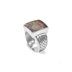 Starborn Ammonite Men’s Ring with Geometric Shank Accents in Sterling Silver