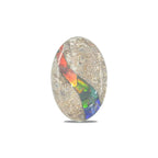 Starborn Fossil Dinosaur Bone with Ammolite Inlay Cabochon 20x30 mm Oval - 1 piece