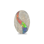 Starborn Fossil Dinosaur Bone with Ammolite Inlay Cabochon 20x30 mm Oval - 1 piece