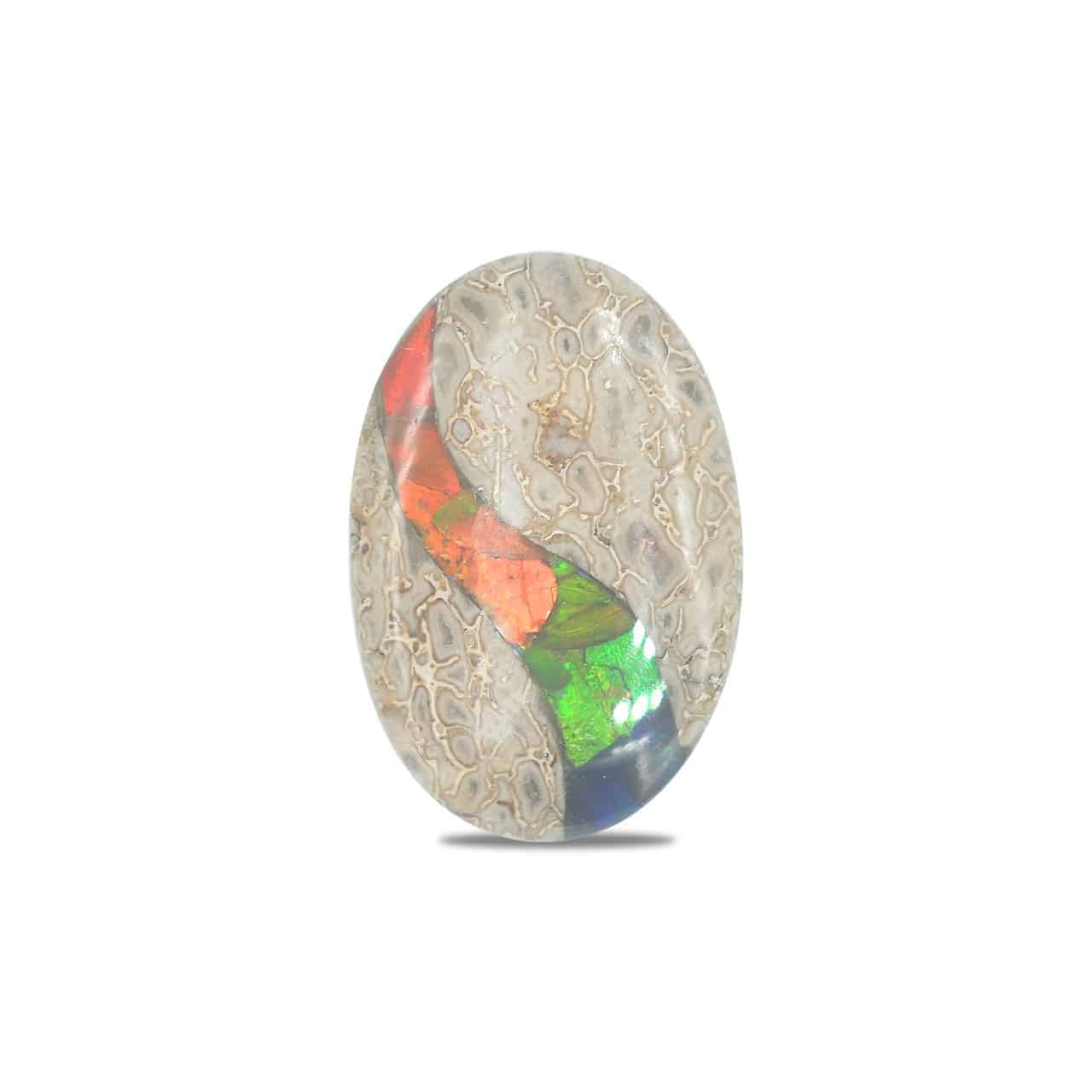 Starborn Fossil Dinosaur Bone with Ammolite Inlay Cabochon 20x30 mm Oval - 1 piece