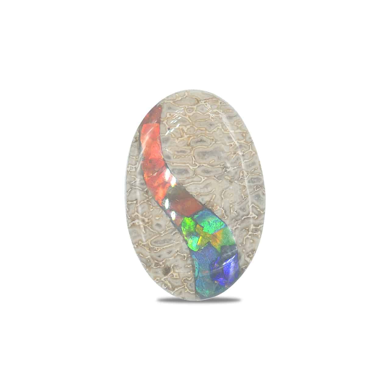 Starborn Fossil Dinosaur Bone with Ammolite Inlay Cabochon 20x30 mm Oval - 1 piece