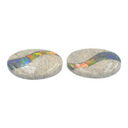 Starborn Fossil Dinosaur Bone with Ammolite Inlay Cabochon 20x30 mm Oval - 1 piece