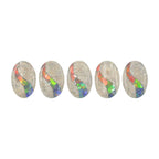 Starborn Fossil Dinosaur Bone with Ammolite Inlay Cabochon 20x30 mm Oval - 1 piece