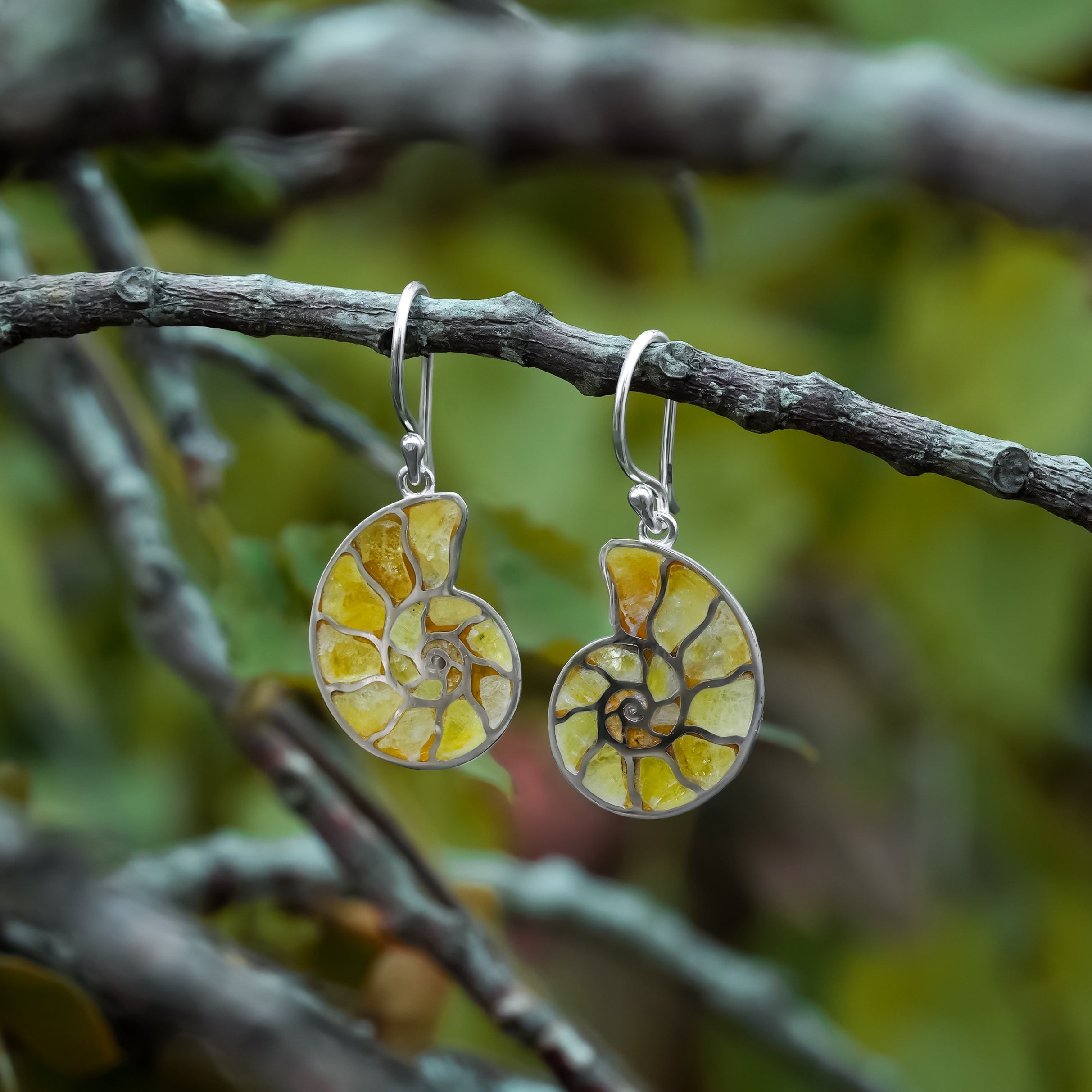 Starborn Nautilus Ammonite with Gemstones Inlay Earring in Sterling Silver - Large