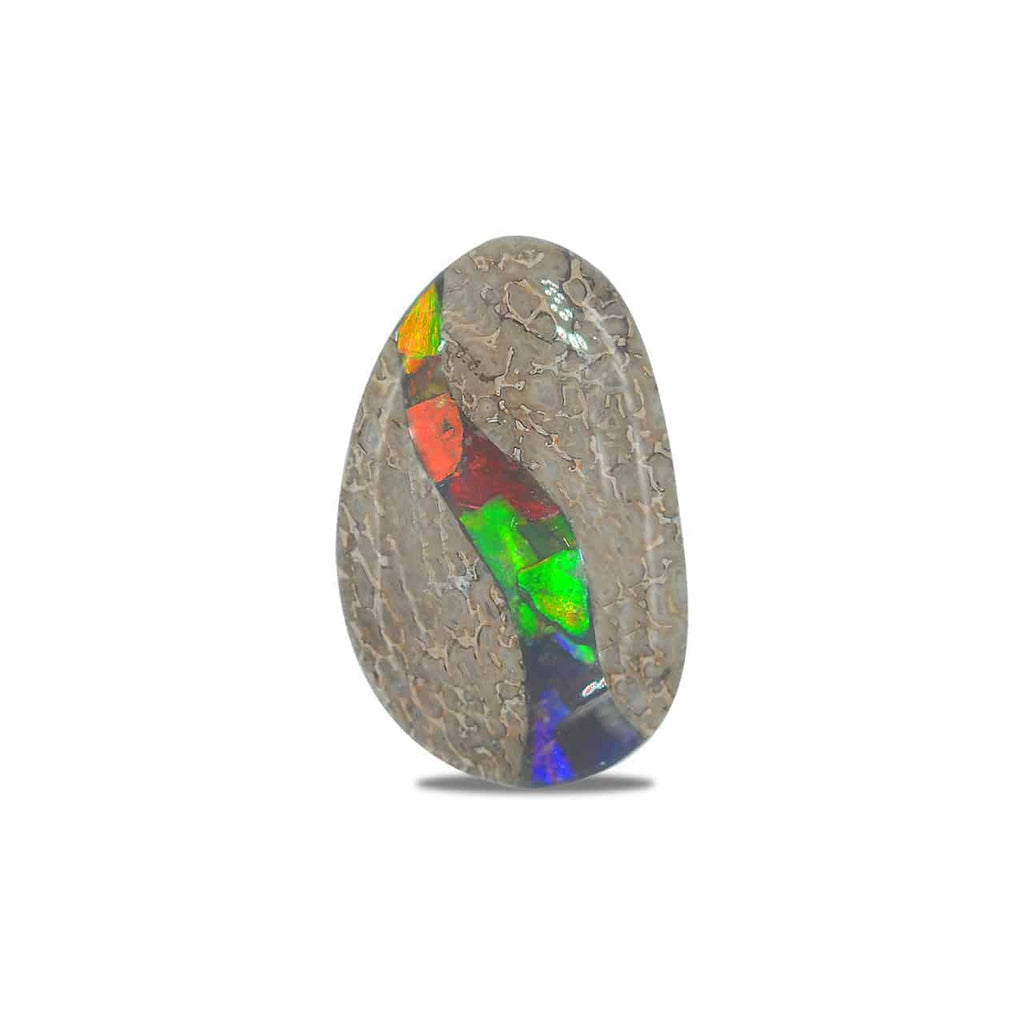 Starborn Fossil Dinosaur Bone with Ammolite Inlay Large Cabochon 30 mm Freeform - 1 piece