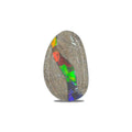 Starborn Fossil Dinosaur Bone with Ammolite Inlay Large Cabochon 30 mm Freeform - 1 piece