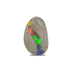 Starborn Fossil Dinosaur Bone with Ammolite Inlay Large Cabochon 30 mm Freeform - 1 piece