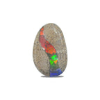 Starborn Fossil Dinosaur Bone with Ammolite Inlay Large Cabochon 30 mm Freeform - 1 piece