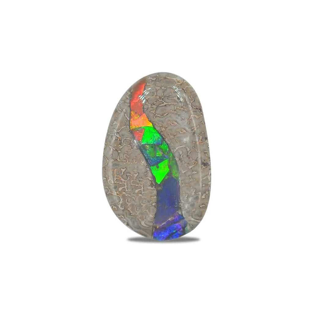 Starborn Fossil Dinosaur Bone with Ammolite Inlay Large Cabochon 30 mm Freeform - 1 piece