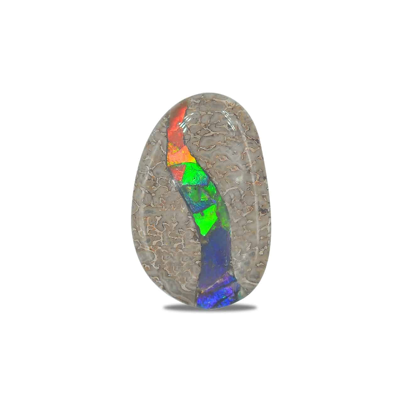 Starborn Fossil Dinosaur Bone with Ammolite Inlay Large Cabochon 30 mm Freeform - 1 piece