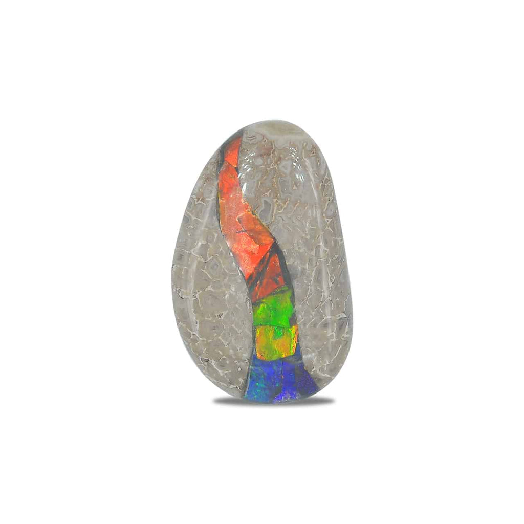 Starborn Fossil Dinosaur Bone with Ammolite Inlay Large Cabochon 30 mm Freeform - 1 piece