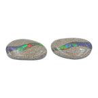 Starborn Fossil Dinosaur Bone with Ammolite Inlay Large Cabochon 30 mm Freeform - 1 piece