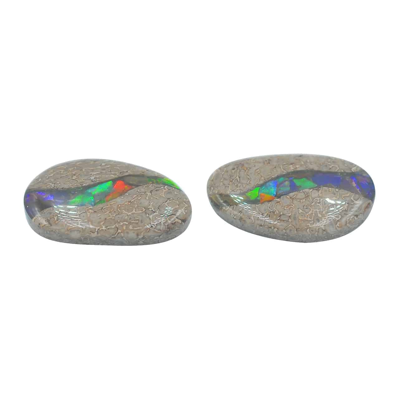 Starborn Fossil Dinosaur Bone with Ammolite Inlay Large Cabochon 30 mm Freeform - 1 piece