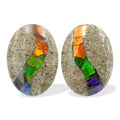 Starborn Fossil Dinosaur Bone with Ammolite Inlay Cabochon Oval 25mm - 1 pair