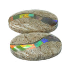 Starborn Fossil Dinosaur Bone with Ammolite Inlay Cabochon Oval 25mm - 1 pair
