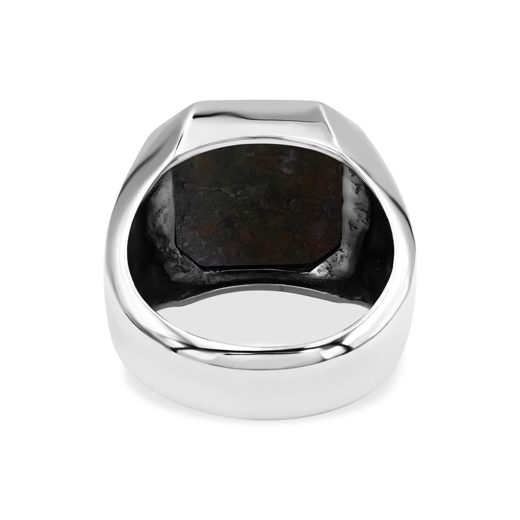 Starborn Fossil Dinosaur Bone Octagon Signet Men's Ring in Sterling Silver
