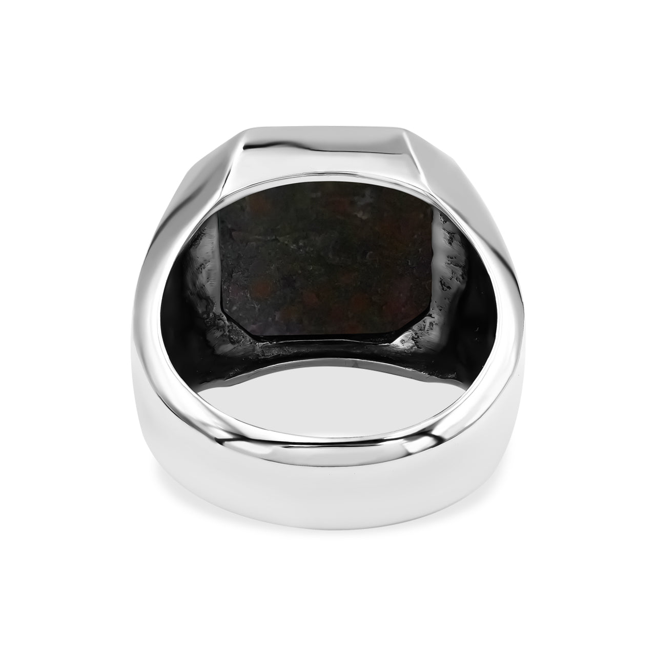 Starborn Fossil Dinosaur Bone Octagon Signet Men's Ring in Sterling Silver