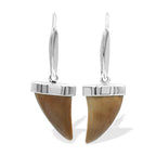 Starborn Fossil Mosasaurus Tooth Cap Set Earrings in Sterling Silver