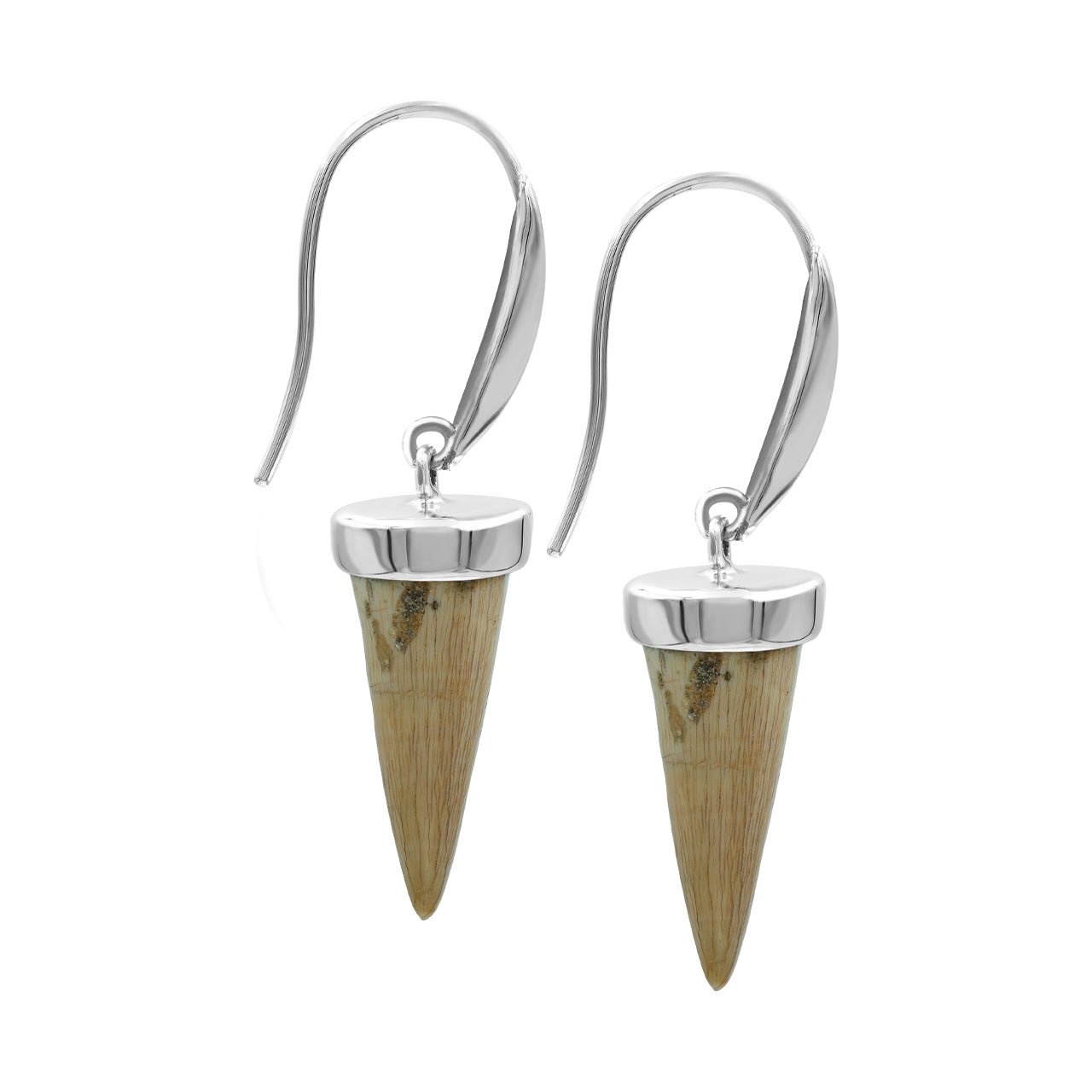 Starborn Fossil Mosasaurus Tooth Cap Set Earrings in Sterling Silver