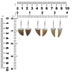 Starborn Fossil Mosasaurus Tooth Cap Set Earrings in Sterling Silver