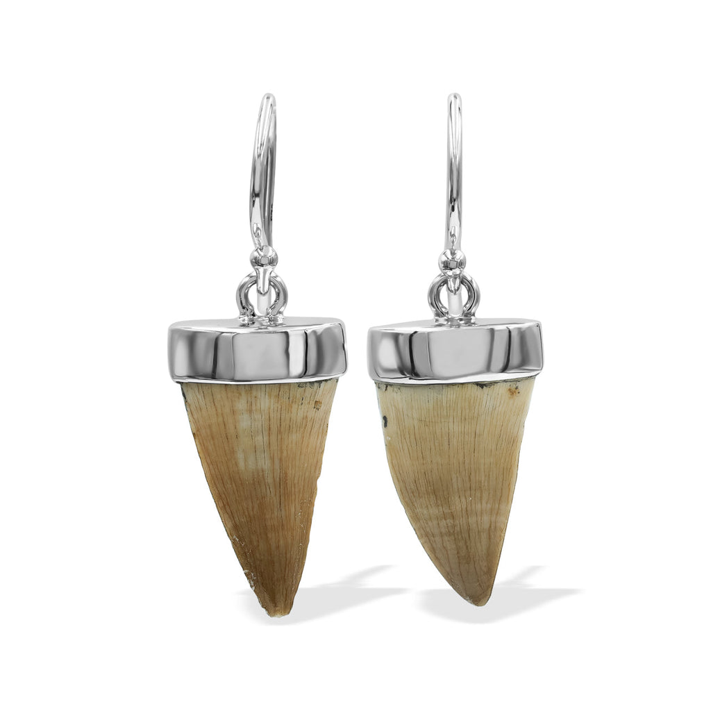 Starborn Fossil Mosasaurus Tooth Earrings in Sterling Silver
