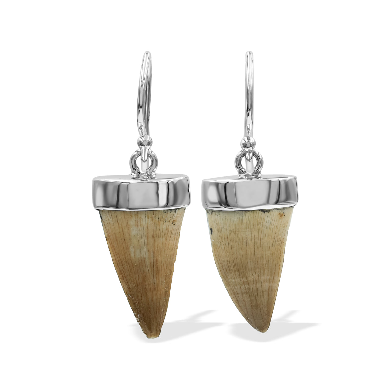Starborn Fossil Mosasaurus Tooth Earrings in Sterling Silver