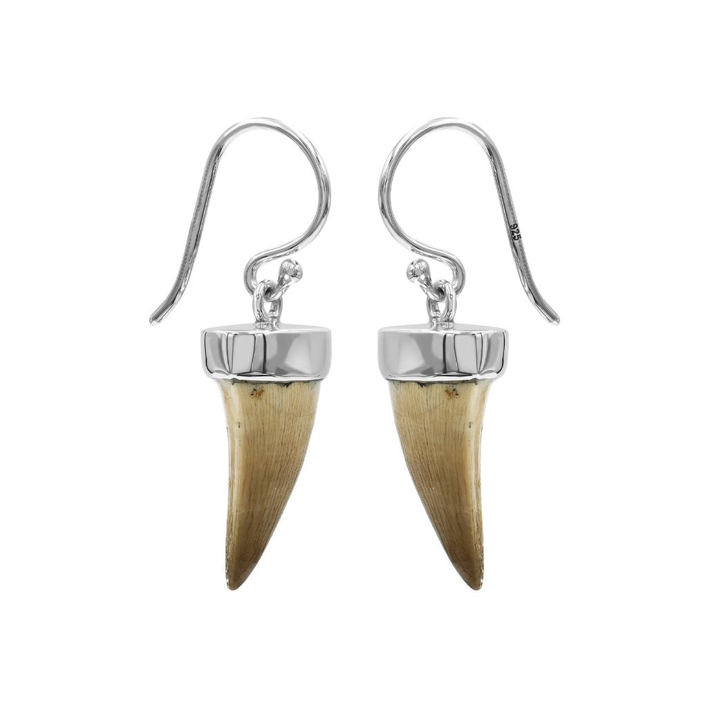 Starborn Fossil Mosasaurus Tooth Earrings in Sterling Silver