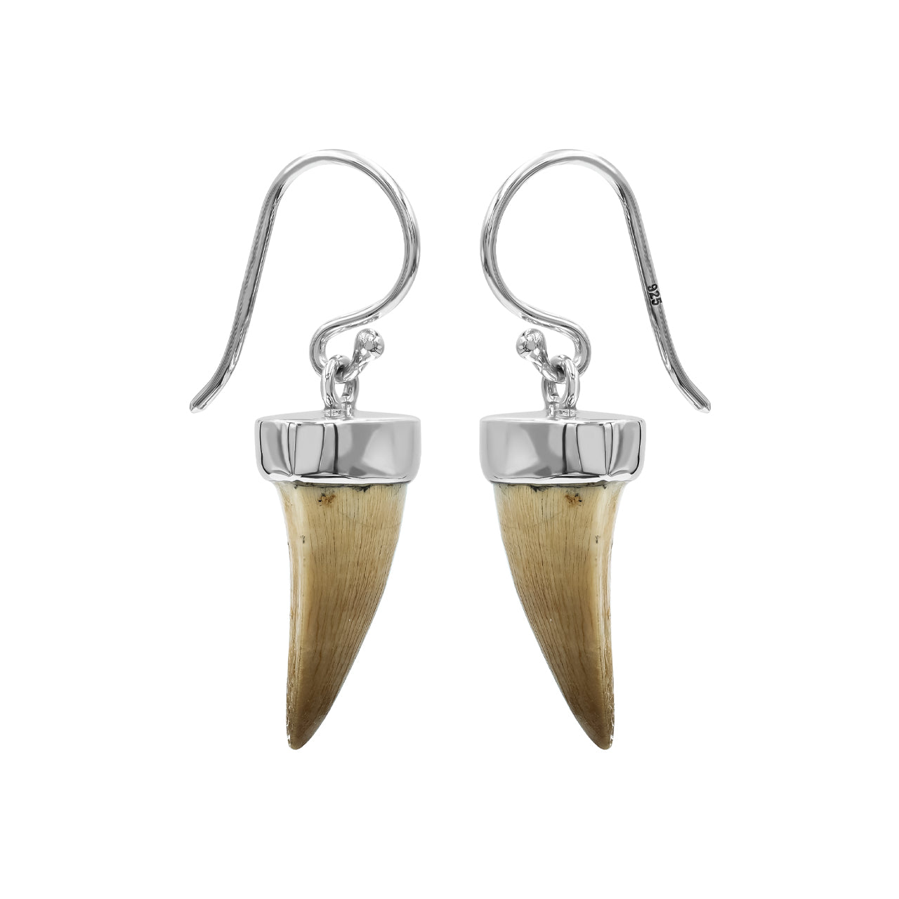 Starborn Fossil Mosasaurus Tooth Earrings in Sterling Silver