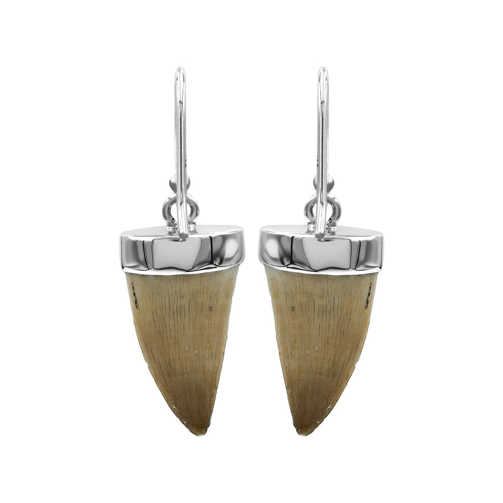 Starborn Fossil Mosasaurus Tooth Earrings in Sterling Silver