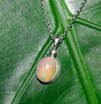 Starborn Ethiopian Opal Pendant in Sterling Silver