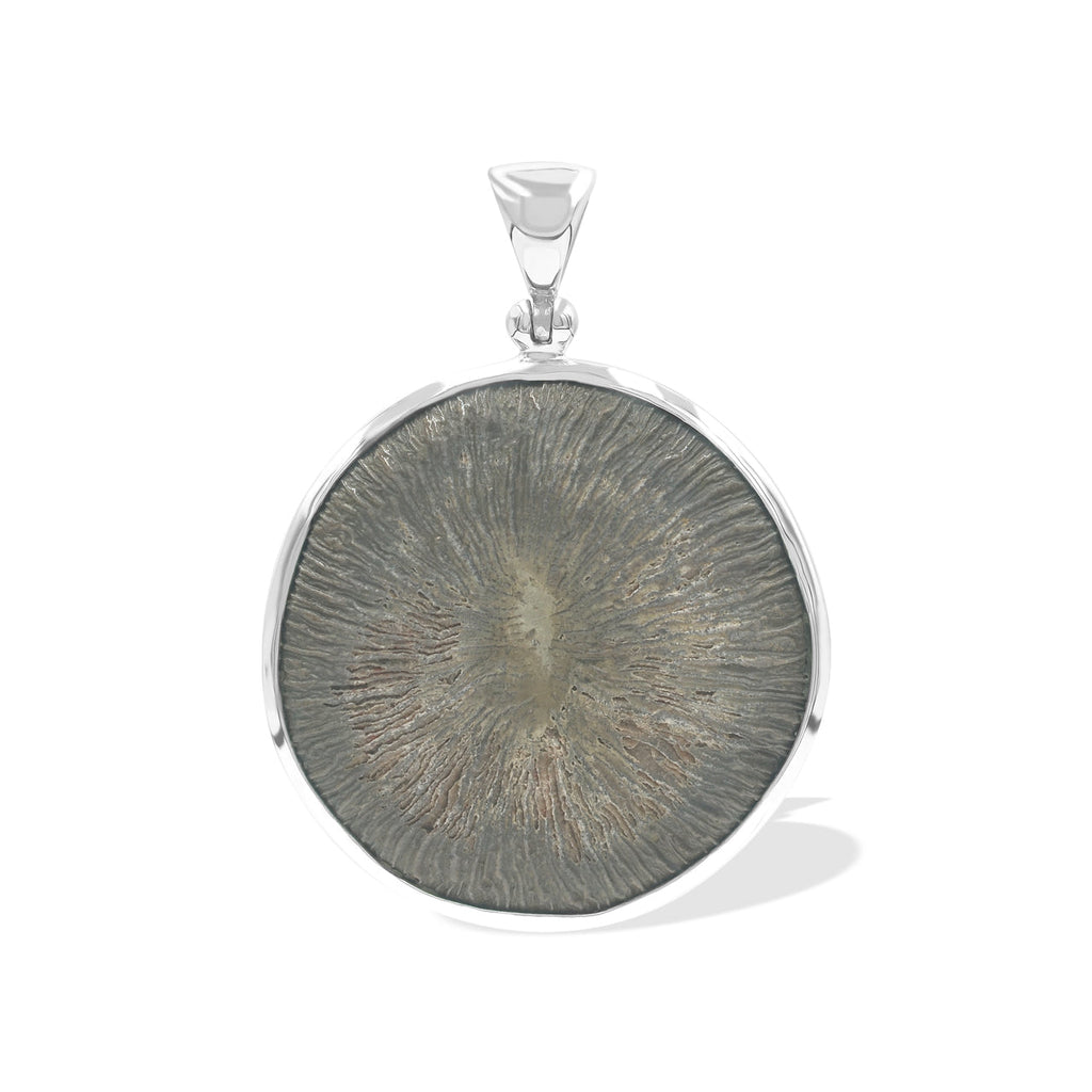 Starborn Cyclolite Fossil Coral Pendant in Sterling Silver