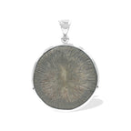 Starborn Cyclolite Fossil Coral Pendant in Sterling Silver
