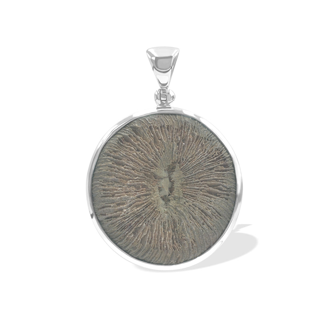 Starborn Cyclolite Fossil Coral Pendant in Sterling Silver